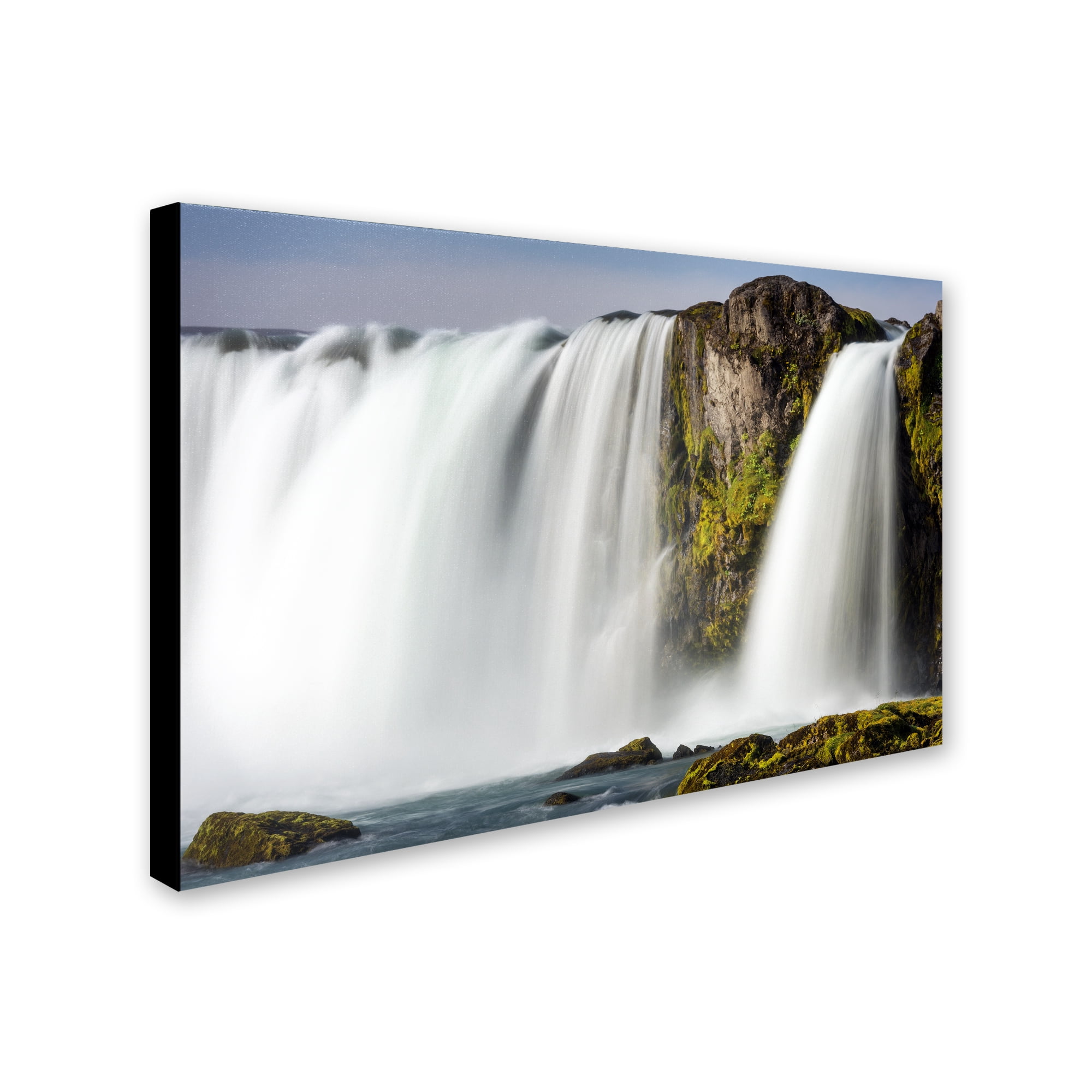 Trademark Fine Art 'White Noise' Canvas Art by Philippe Sainte-Laudy
