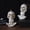 white, variant on CXALSSY Halloween Decor, Halloween Decorations, Halloween Decorations Indoor, Halloween Indoor Decor, Halloween Tabletop Decor, Halloween Skeleton Lantern LED Ghost Head Ornament