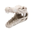 thumbnail image 2 of Dinosaurio cocodrilo cráneo escultura estatua esqueleto modelo acuario adornos Likrtyny 2kq2eu8xb2dy3tv0, 2 of 9