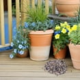 thumbnail image 4 of CRAFTHROU Multifuncionales Para Acuarios Y De Microlandscape, 4 of 8