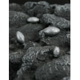 thumbnail image 5 of BLUEWING Egg Sinkers Lead Fishing Weights Sinkers Oval Bullet Weights for Saltwater and Freshwater Fishing, 5oz, 5 of 5
