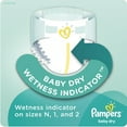 thumbnail image 5 of Pampers Baby Dry Diapers, (Choose Your Size), 5 of 10