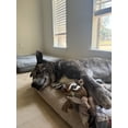 thumbnail image 2 of Steel Dog USA Prairie Brown Chipmunk Dog Toy, 2 of 4