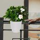 thumbnail image 4 of unbranded Maceta Decorativa Autorriego Para Plantas Con Duradero Y Bajo Mantenimiento, 4 of 8