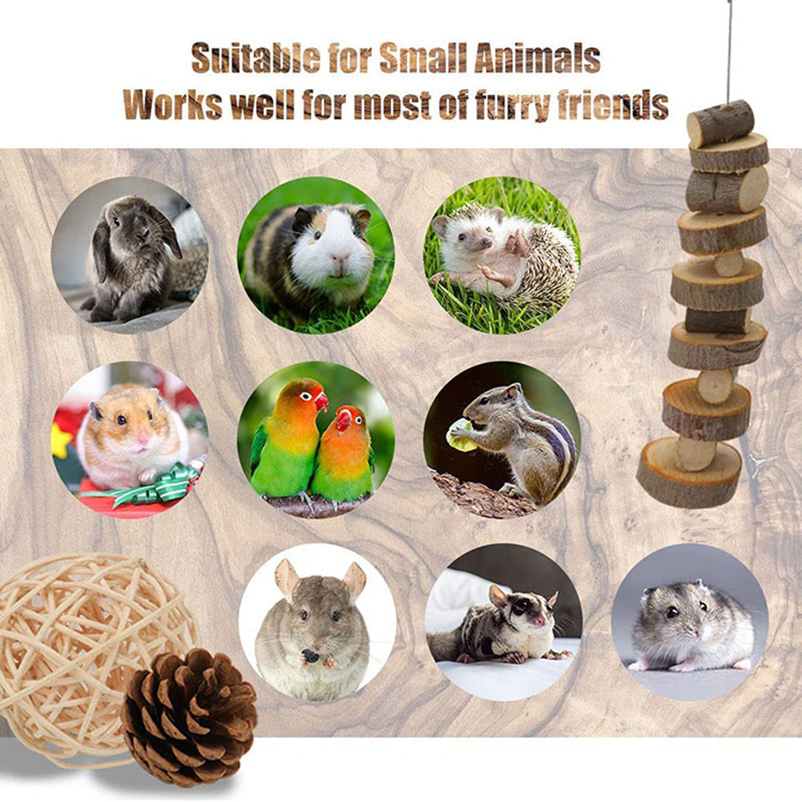 DOPI 12Pcs/Set Hamster Toys Multiple Types Teeth Grinding Natural Wood Small Animal Play Chew Toys Pet Toys