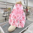 thumbnail image 3 of Floral Pet Dress - Polyester Fabric, Adjustable Snap Buttons, Breathable Mesh, Leash Attachment, Suitable for Small Dogs & Cats, 3 of 5