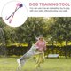 thumbnail image 3 of 2Pcs Durable Paw Shape Rubber Dog Training Pat Pet Training Tool Gift No Hurt Dog Training Whip for Dog Puppy (Random Color, Small Size), 3 of 4