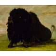 thumbnail image 2 of George Catlin 14x12 Black Ornate Wood Framed Double Matted Museum Art Print Titled: Dying Buffalo, Shot with an Arrow (1832-1833), 2 of 5