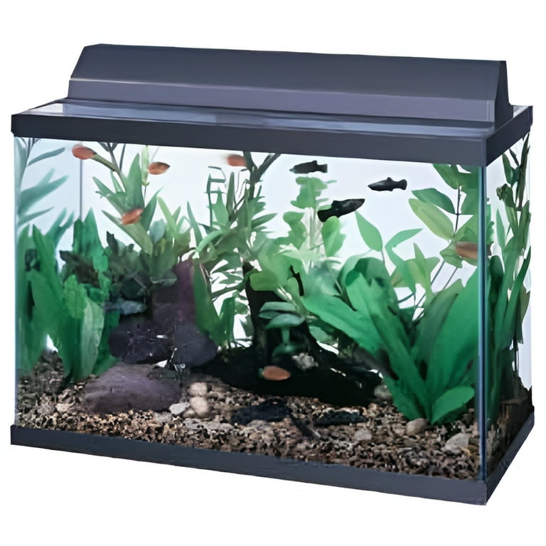 24 inch aquarium hood 2025