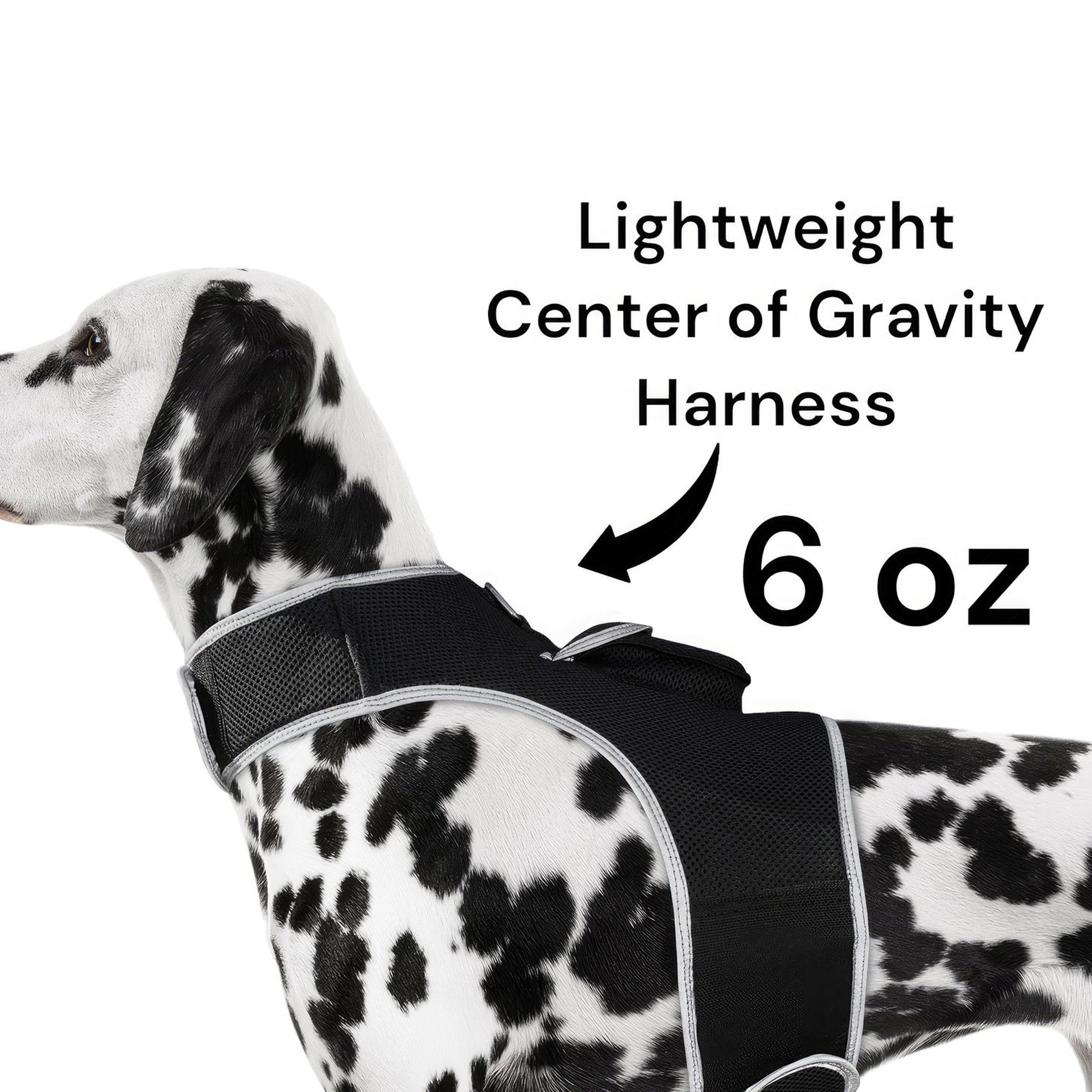 XS Wireless GPS Dog Collar for Hunting – Real-Time Location Tracker with Long-Range Coverage