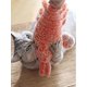 thumbnail image 2 of Juguetes para gatos y perros, juguete para gatos con forma de langosta, juguete con hierba gatera, juguete para perros con forma de pez flexible, juguete interactivo para gatos recargable po, 2 of 5