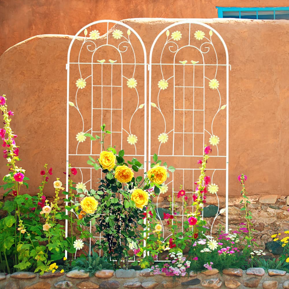 Tcbosik 2 Pack Garden Trellis for Climbing Plants, 71" x 19.7" Rustproof Metal Flower Trellis, Outdoor Climbing Rose Trellis Cucumbers Support, Decorative Trellis for Courtyard, Lawn, Cream White