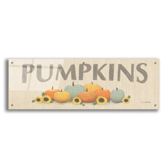 Epic Art 'Heartland Harvest Moments VIII' by James Wiens, Acrylic Glass Wall Art, 48"x16"