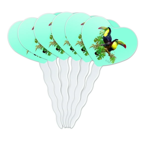 Toucan Tropics Tropical Rainforest Watercolor Heart Love Cupcake Picks Toppers Decoration Set of 6