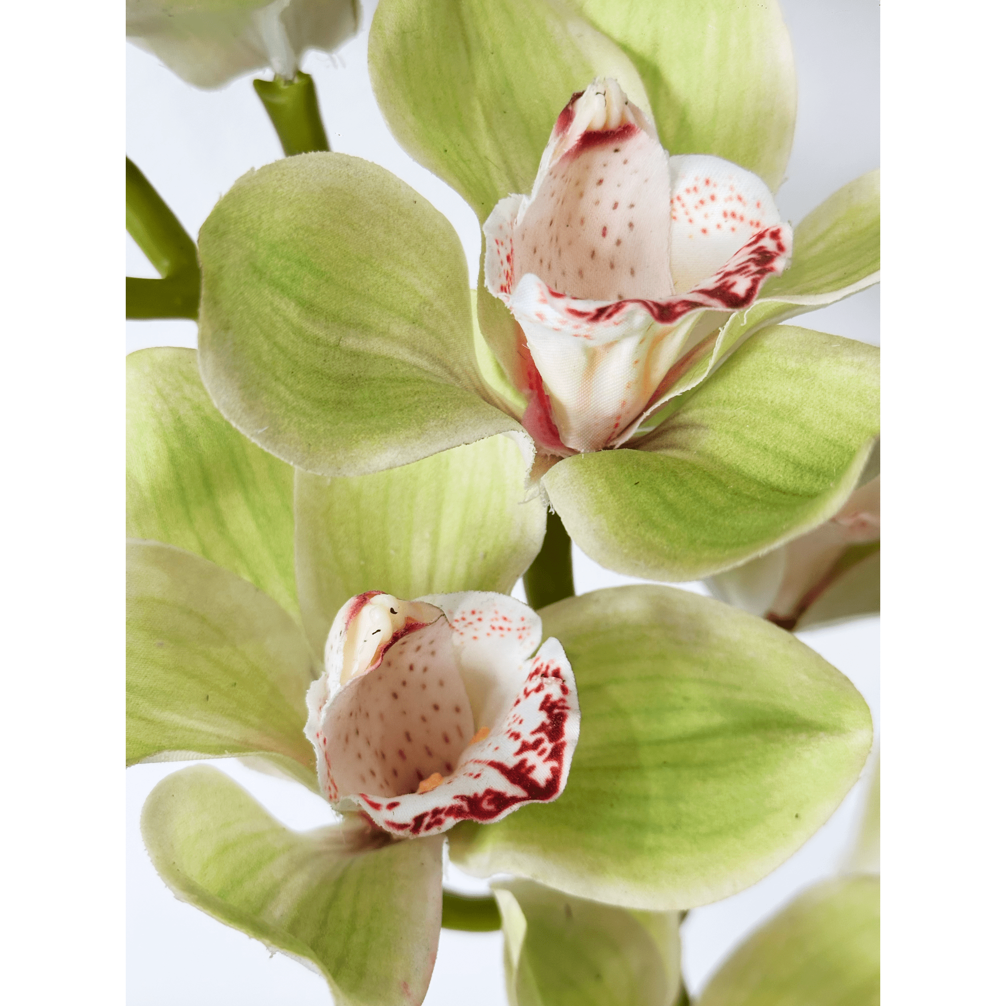 Amaranton 32" Real Touch 10 - Bloom Cymbidium Orchid - Green 4Pcs Artificial Flowers Bouquet for Gift Home Decor Indoor Outdoor Faux Orchid Flower Fake Floral Arrangements