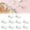 C, variant on SLUOHZXI 10 Pieces Self Adhesive Clips, Tapestry Sticky Spring Hangers Wall Clips for Hanging Poster Photo Office Decorations, Clear