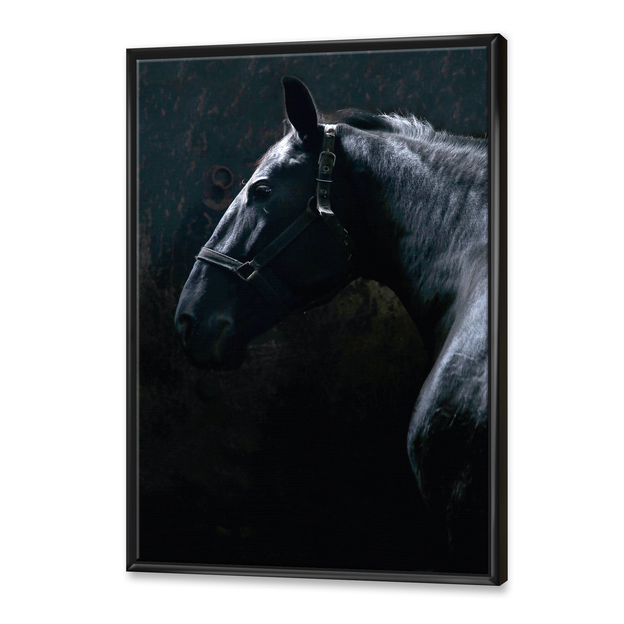 Designart 'Close Up Of Thoroughbred Nonius Stallion Horse II' Farmhouse Framed Canvas Wall Art Print