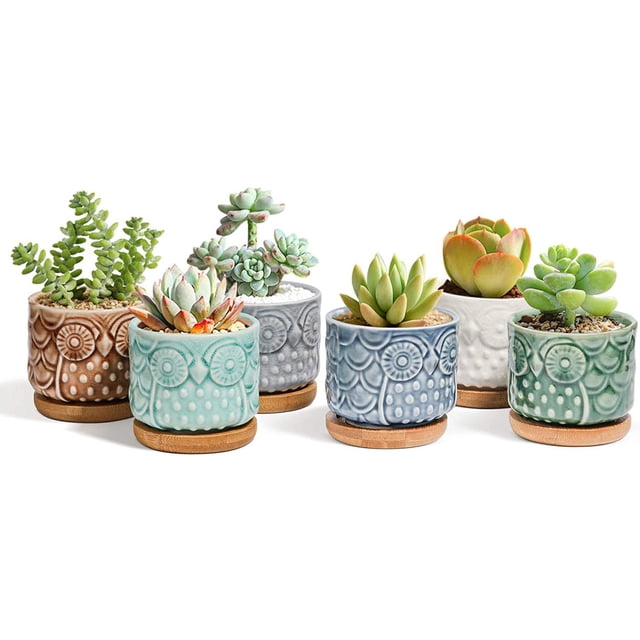 Maceta suculenta de cerámica de 6,5 cm con bandeja de bambú Búho Juego de 6, Planta de cactus Maceta Maceta Maceta Maceta Contenedor Regalo para cumpleaños Boda Ormromra YQ-1536