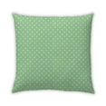 thumbnail image 1 of Ahgly Company Indoor Square Contemporary Throw Pillow, 18 inch by 18 inch, 1 of 5