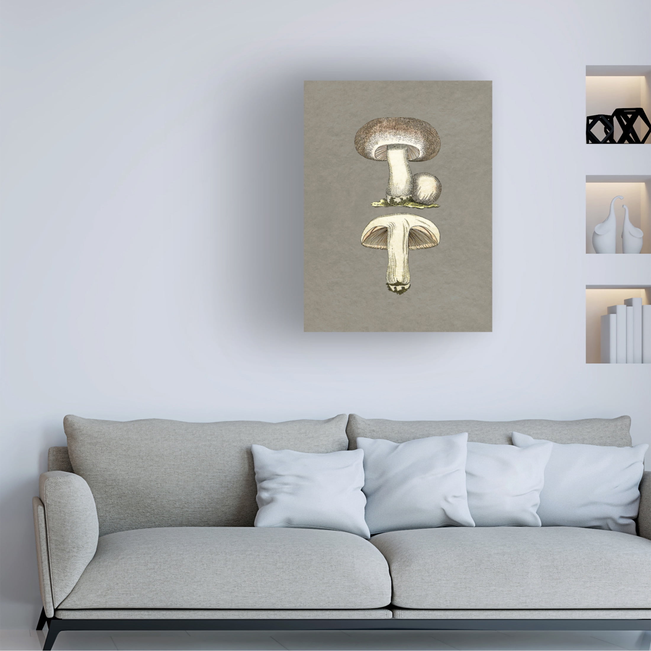 Trademark Fine Art Pictufy   Field Mushroom Canvas Wall Art