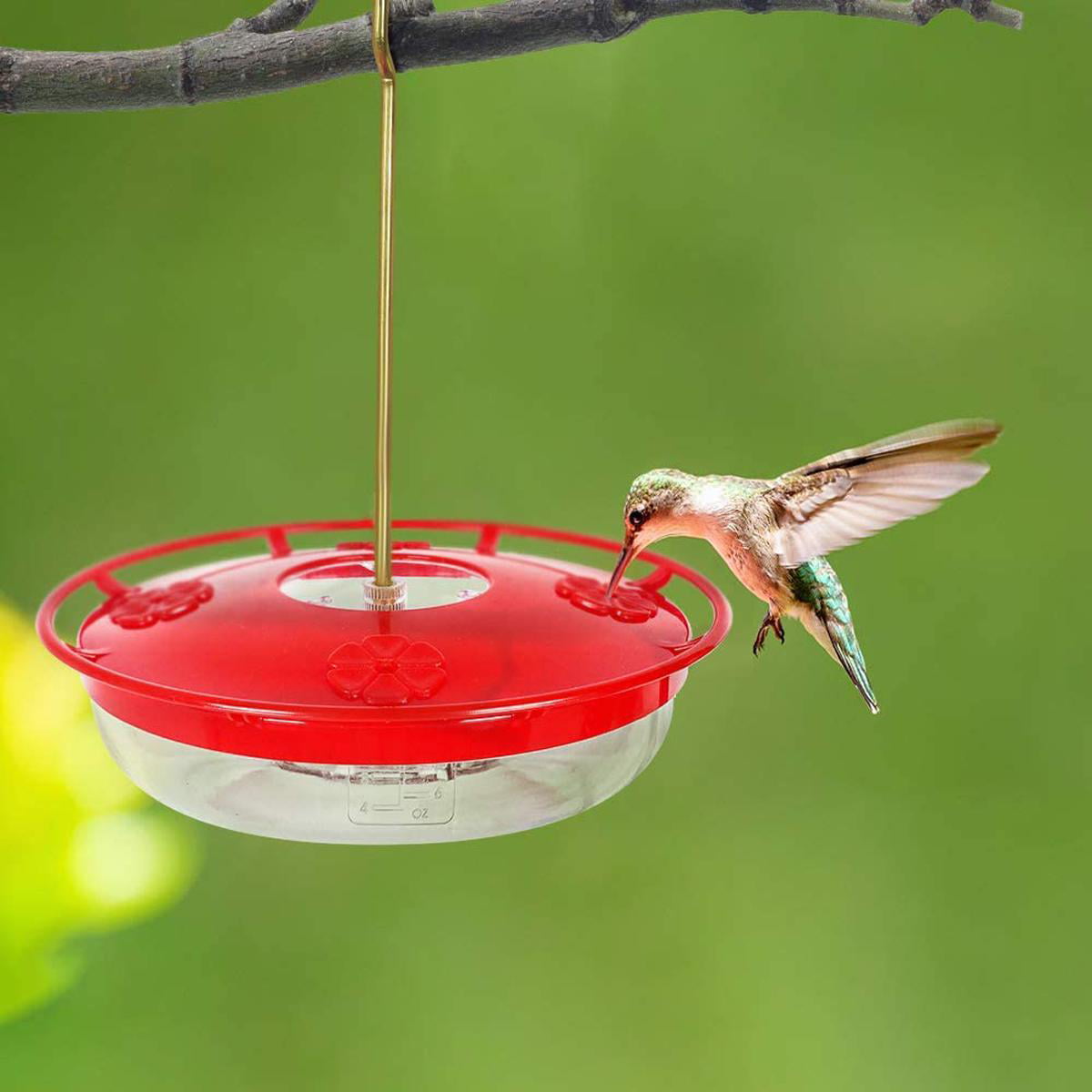 Window Hummingbird Feeder Perch Nectar Bird Wildlife Food Outdoor 3 Feeding Port 