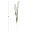 thumbnail image 5 of 31-inch Artificial Feather Reed Grass Pampas Grass Long Stem, Cream, for Indoor Use, by Mainstays, 5 of 5