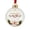 Thank You, variant on Christmas Favorite Memory Memory Ball Ornament, Plastic 3D Hanging Keepsake Decor for Tree Mantel Shelf and Seasonal Gift Display, 3.94 in