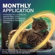 (3 pack) NexGard Combo Topical Solution for Cats, 5.6-16.5 lbs