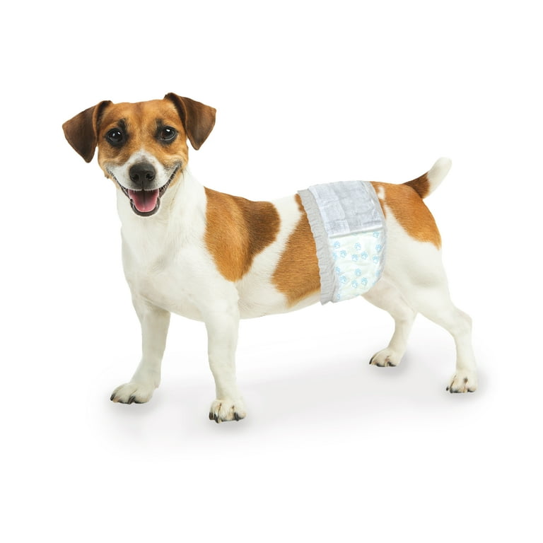 Wee wee disposable outlet male dog wraps