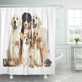 thumbnail image 1 of ABPHQTO Conjunto de cortinas de ducha de baño impermeables para perros y gatos, junto a un gato, en blanco, al lado de un gato, 165x180 cm ABPHQTO PKNMT66x72Shower-10172, 1 of 2