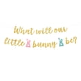 thumbnail image 2 of Birthday Bunny Banner Wall Backdrop DIY Outdoor Happy Easter Birthday Banner A, 2 of 8