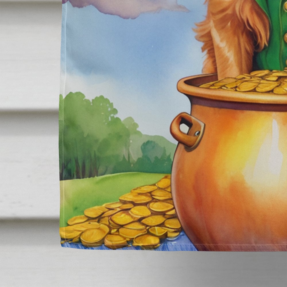 Nova Scotia Duck Tolling Retriever St Patrick's Day House Flag 28 in x 40 in