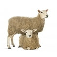 thumbnail image 2 of Sheep Standing over Another Wall Decal by Wallmonkeys Peel and Stick Graphic (18 in W x 18 in H) WM227660, 2 of 4