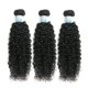 thumbnail image 2 of Hair Bundles EMOL Kinky Curly Water Wave, cabello humano, 300 g, 2 of 7