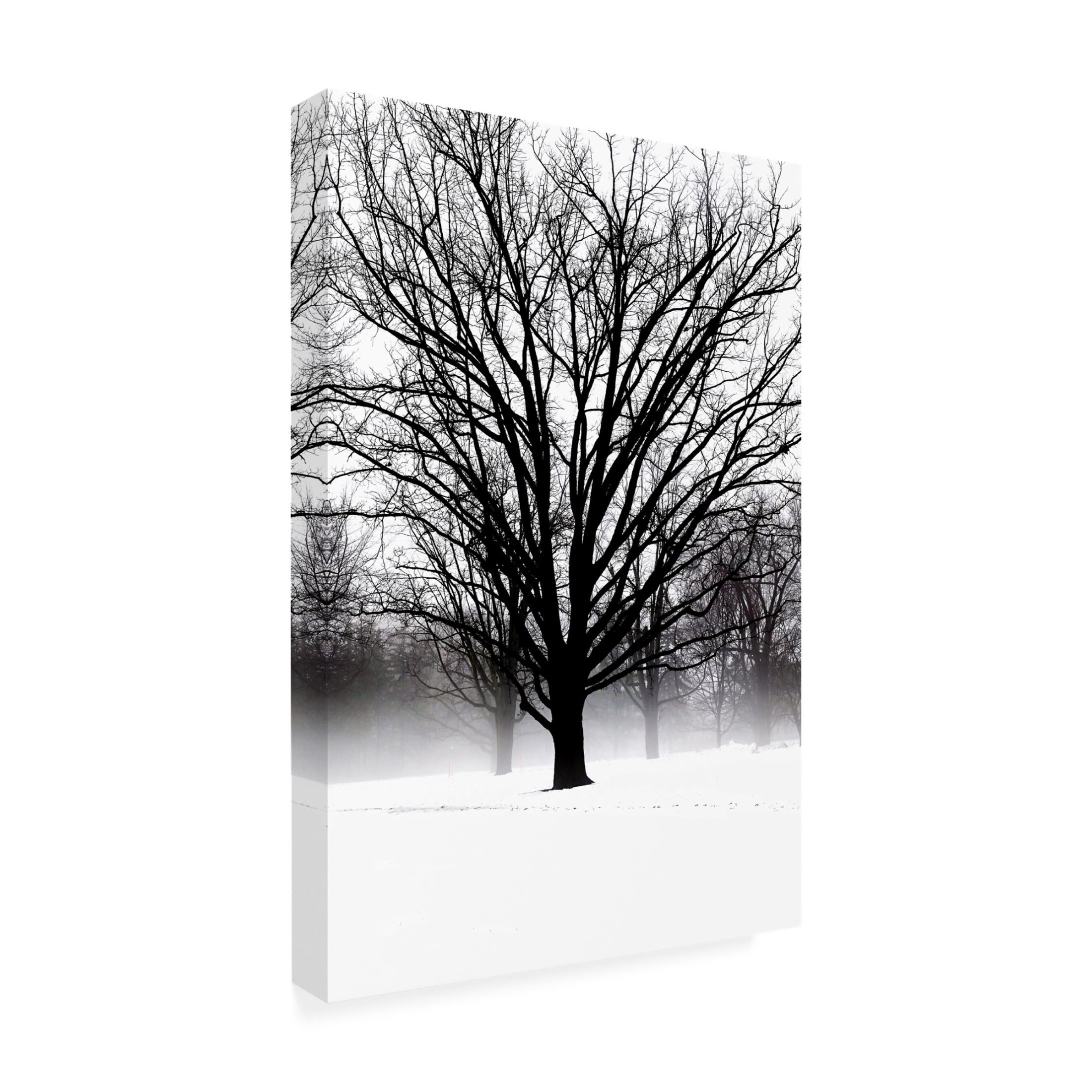 Canvas Wall Art - Clive Branson 'High Contrast Tree In Winter' Wall Art for Living Room, Bedroom, or Office Décor by Trademark Fine Art - 22 x 32 Inches