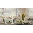 thumbnail image 4 of EAMBRITE Lighted Birch Tree for Christmas Decorations, 2 Pack 2FT Artificial Tree Battery Operated and USB, Tabletop Tree Christmas Decor for Home Decor, 4 of 9