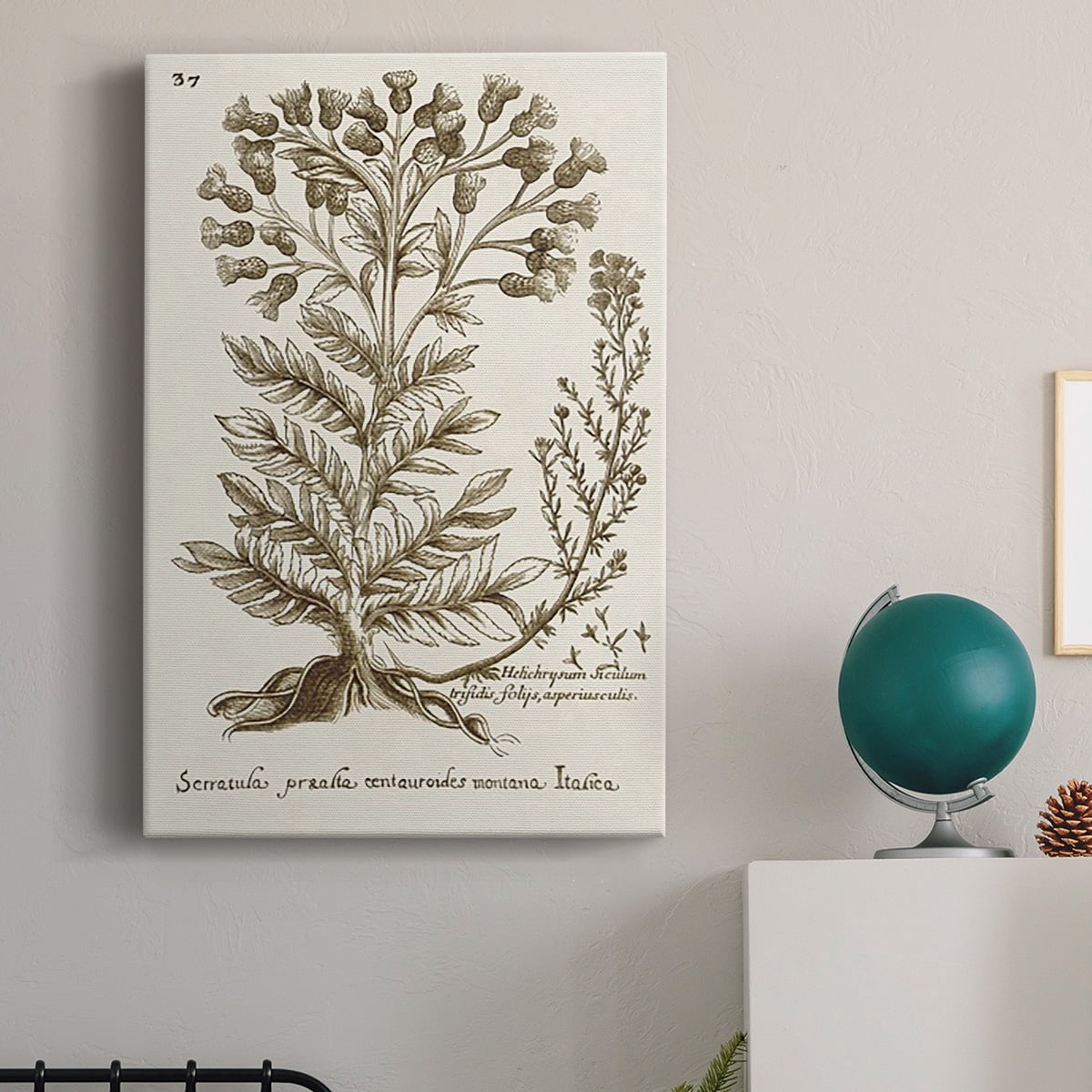 Sepia Botanical Journal I Premium Gallery Wrapped Canvas - Ready to Hang