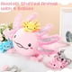 thumbnail image 4 of Set de peluche Aoriher Axolotl de 60 cm con 4 animales de peluche para bebés, 4 of 7