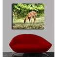 thumbnail image 2 of Batie Grazing Fawn Canvas Print, 2 of 5