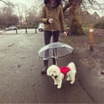 thumbnail image 4 of CEHVOM Pet Dog Umbrella With Leash For Small Pet, Fits 20” Back Length Pet, 4 of 9
