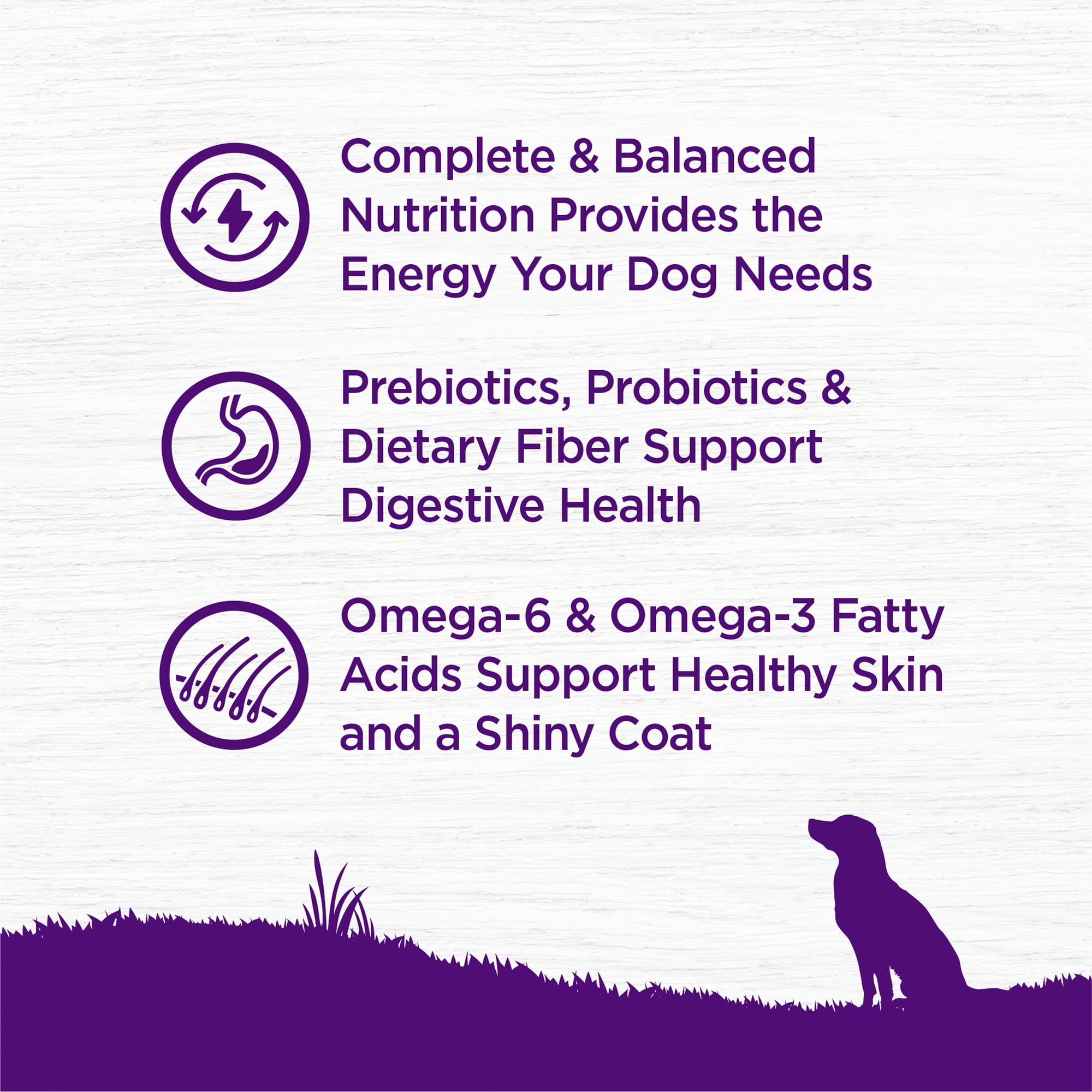 Wellness Complete Health Dry Dog Food, Wholesome Grains, Natural, Beef & Barley Recipe, (5-Pound Bag)