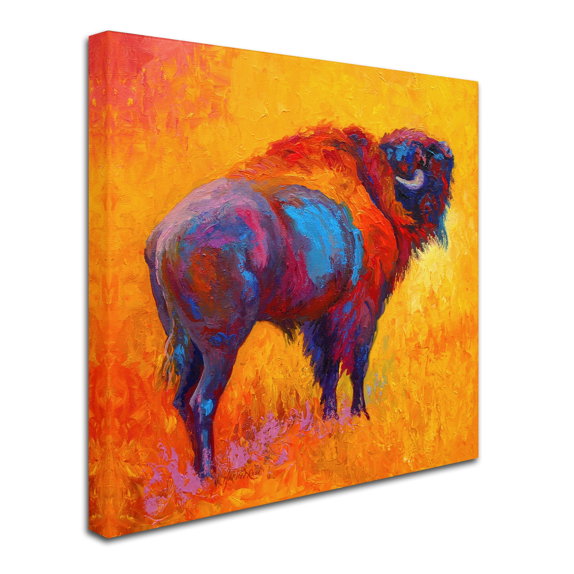 Marion Rose 'Something In The Air' Canvas Art
