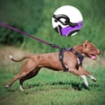 thumbnail image 4 of Combinación de arnés y correa para perros PoyPet, a prueba de fugas, sin tirones, morado, 4 of 7