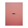 thumbnail image 1 of Trademark Fine Art 'Pink Flight Fabrikken' Canvas Art by Design Fabrikken, 1 of 3