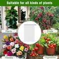 thumbnail image 4 of 1 Uds. Bolsa de red para insectos con cordón, cubierta de planta de red para insectos de jardín para arándanos, tomates, verduras, árboles frutales, 4 of 5