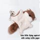 thumbnail image 5 of Juguete Para Gatos Y Perros Flying Squirrel Con Sonajero En El Interior Interactivo Y Con Sonido, 5 of 8