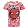 thumbnail image 5 of Spiderman Boys 3 Pack Tie Dye Character Short Sleeve Tees, Toddler, 5 of 7