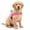 Pink, variant on Borikise Dog Friendly Co Harness, No Pull Adjustable Chest Strap With Secure Fit, Easy Walk Harness For Daily Training And Outdoor Activities
