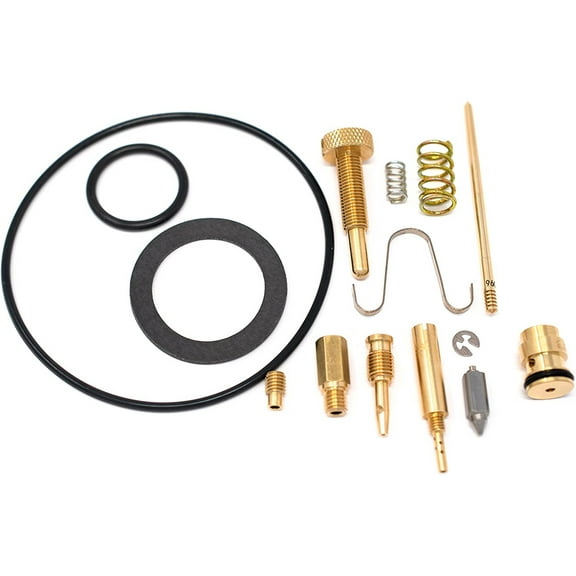 Carburetor Rebuild Repair Parts Kit Fits Honda 1977-1984 FL250 Odyssey 0101-001