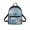 Dragonfly Pattern, variant on Eheartsgir American Eagle Flag Print Travel Rucksack Zipper Closure Small Backpack for Work Outing, Polyester Lightweight Mini Backpack